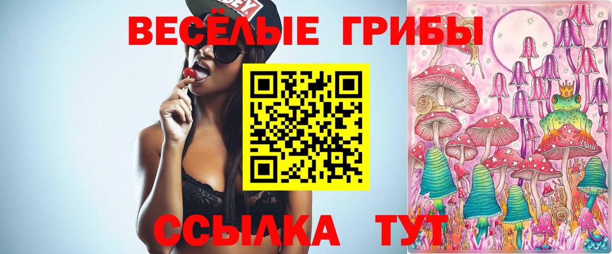 Краснодар  Псилоцибиновые грибы Magic Shrooms  Вход с VPN 