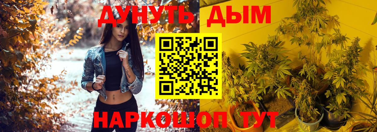 Канабис тримм  Канабис гибрид  Краснодар  Вход с VPN  Шишки марихуана марихуана 